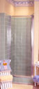 Coral 29 1/4" - 30 1/4" x 66" Swing Shower Door