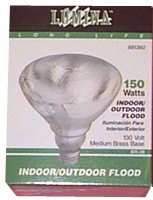 Indoor/Outdoor Flood Light