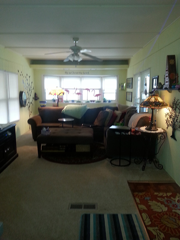 Living Room With New Carpet, Yellow Painted Walls And New Blinds.