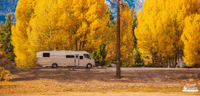 RV driving in fall past yellow leaved trees